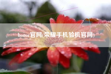 honor官网(<a href=http://www.kufox.com/tag/rongyao.html target=_blank class=infotextkey>荣耀</a>手机验机官网)
