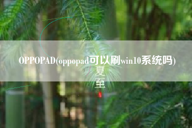 OPPOPAD(oppopad可以刷win10系统吗)