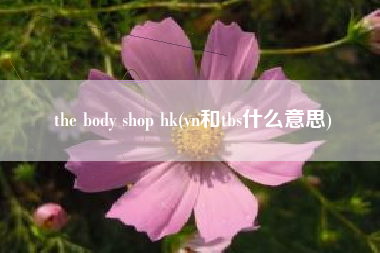 the body shop hk(vn和tbs什么意思)